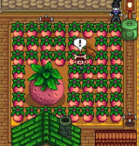 My first giant melon! : r/StardewValley